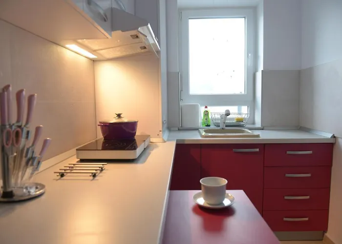 Apartment Coresi Deluxe